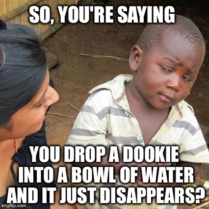 A deuce a day keeps the doctor away! | SO, YOU'RE SAYING; YOU DROP A DOOKIE INTO A BOWL OF WATER AND IT JUST DISAPPEARS? | image tagged in memes,third world skeptical kid,funny,poop,toilet humor | made w/ Imgflip meme maker