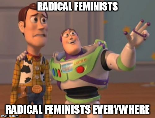 X, X Everywhere Meme | RADICAL FEMINISTS; RADICAL FEMINISTS EVERYWHERE | image tagged in memes,x x everywhere | made w/ Imgflip meme maker