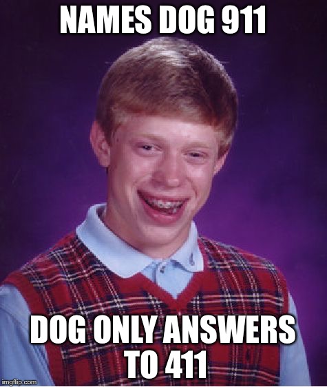Bad Luck Brian Meme | NAMES DOG 911 DOG ONLY ANSWERS TO 411 | image tagged in memes,bad luck brian | made w/ Imgflip meme maker