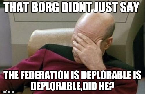 Captain Picard Facepalm Meme | THAT BORG DIDNT JUST SAY; THE FEDERATION IS DEPLORABLE
IS DEPLORABLE,DID HE? | image tagged in memes,captain picard facepalm | made w/ Imgflip meme maker