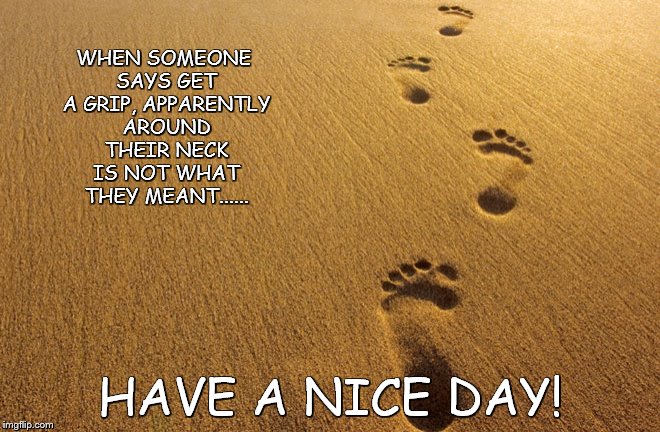 have a nice day | WHEN SOMEONE SAYS GET A GRIP, APPARENTLY AROUND THEIR NECK IS NOT WHAT THEY MEANT...... HAVE A NICE DAY! | image tagged in steps | made w/ Imgflip meme maker