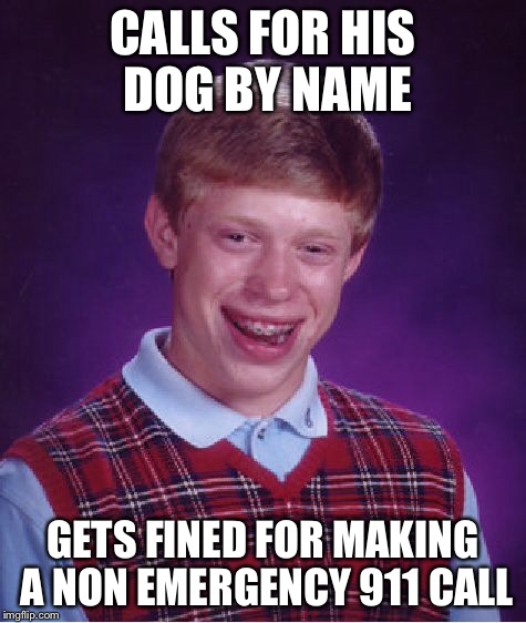 Bad Luck Brian Meme | CALLS FOR HIS DOG BY NAME GETS FINED FOR MAKING A NON EMERGENCY 911 CALL | image tagged in memes,bad luck brian | made w/ Imgflip meme maker