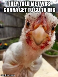 THEY TOLD ME I WAS GONNA GET TO GO TO KFC | made w/ Imgflip meme maker