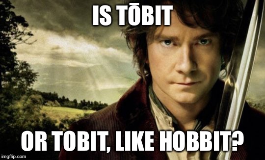 IS TŌBIT; OR TOBIT, LIKE HOBBIT? | image tagged in normal | made w/ Imgflip meme maker