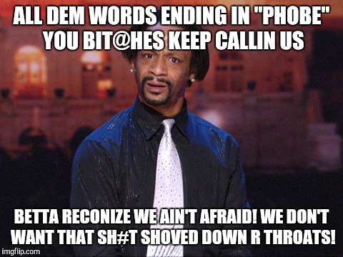 Kat Williams | ALL DEM WORDS ENDING IN "PHOBE" YOU BIT@HES KEEP CALLIN US; BETTA RECONIZE WE AIN'T AFRAID! WE DON'T WANT THAT SH#T SHOVED DOWN R THROATS! | image tagged in kat williams | made w/ Imgflip meme maker