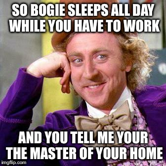 Willy Wonka Blank | SO BOGIE SLEEPS ALL DAY WHILE YOU HAVE TO WORK; AND YOU TELL ME YOUR THE MASTER OF YOUR HOME | image tagged in willy wonka blank | made w/ Imgflip meme maker