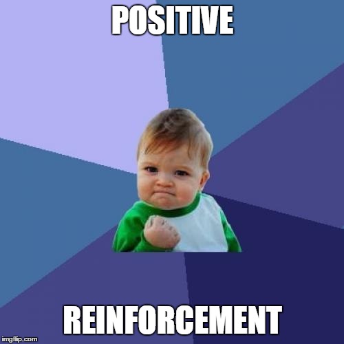 Success Kid Meme | POSITIVE REINFORCEMENT | image tagged in memes,success kid | made w/ Imgflip meme maker