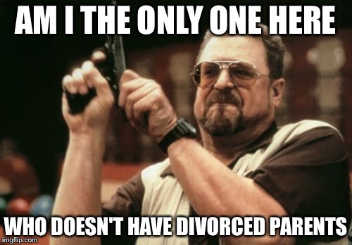 Am I The Only One Around Here Meme | AM I THE ONLY ONE HERE; WHO DOESN'T HAVE DIVORCED PARENTS | image tagged in memes,am i the only one around here,divorce | made w/ Imgflip meme maker