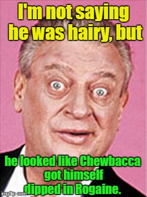 rodney dangerfield's cousin vinny | I'm not saying he was hairy, but; he looked like Chewbacca got himself dipped in Rogaine. | image tagged in rodney dangerfield,funny,meme,borscht belt,comic | made w/ Imgflip meme maker