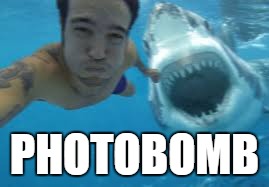 PHOTOBOMB | image tagged in come at me bro | made w/ Imgflip meme maker