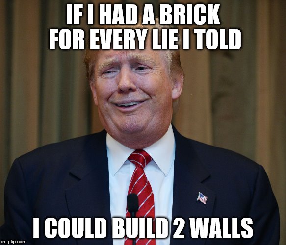trump goofy face | IF I HAD A BRICK FOR EVERY LIE I TOLD; I COULD BUILD 2 WALLS | image tagged in trump goofy face | made w/ Imgflip meme maker