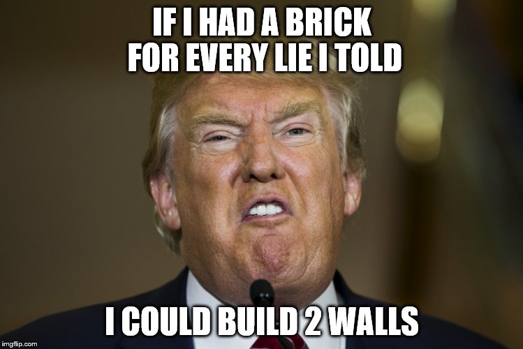 donnie trump | IF I HAD A BRICK FOR EVERY LIE I TOLD; I COULD BUILD 2 WALLS | image tagged in donnie trump | made w/ Imgflip meme maker