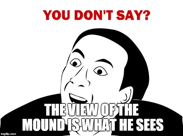 You Don't Say | THE VIEW OF THE MOUND IS WHAT HE SEES | image tagged in memes,you don't say | made w/ Imgflip meme maker