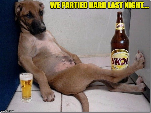 WE PARTIED HARD LAST NIGHT.... | made w/ Imgflip meme maker