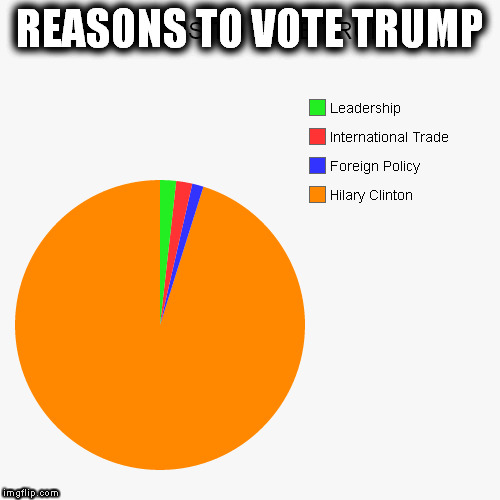 Reasons to vote Trump | REASONS TO VOTE TRUMP | image tagged in trump,hilary | made w/ Imgflip meme maker