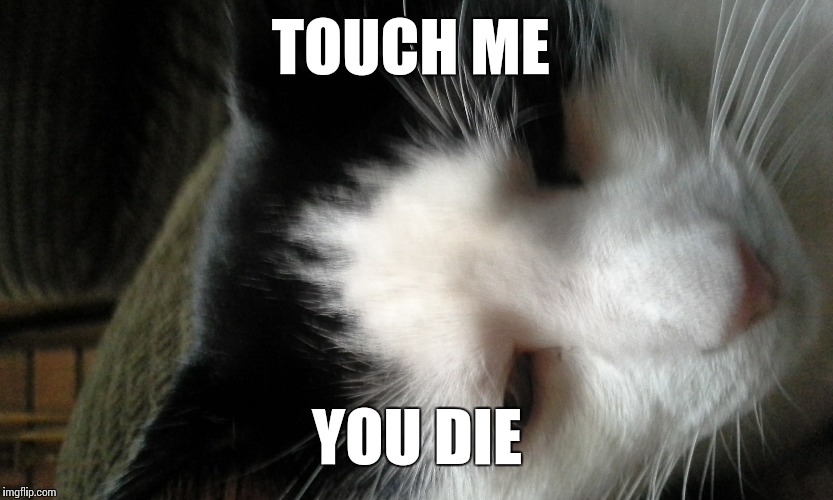 TOUCH ME; YOU DIE | image tagged in funny | made w/ Imgflip meme maker