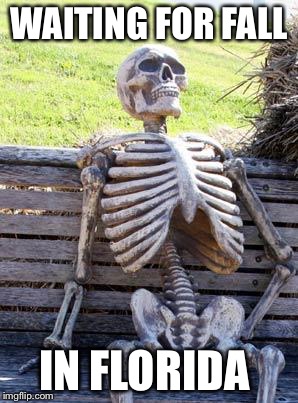 Waiting Skeleton | WAITING FOR FALL; IN FLORIDA | image tagged in memes,waiting skeleton | made w/ Imgflip meme maker