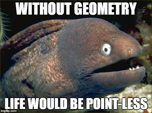 Bad Joke Eel | WITHOUT GEOMETRY; LIFE WOULD BE POINT-LESS | image tagged in memes,bad joke eel | made w/ Imgflip meme maker