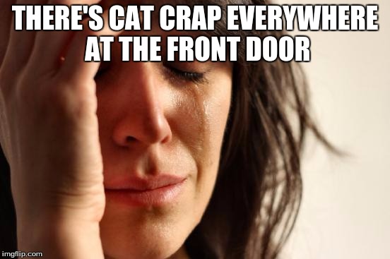 First World Problems Meme | THERE'S CAT CRAP EVERYWHERE AT THE FRONT DOOR | image tagged in memes,first world problems | made w/ Imgflip meme maker