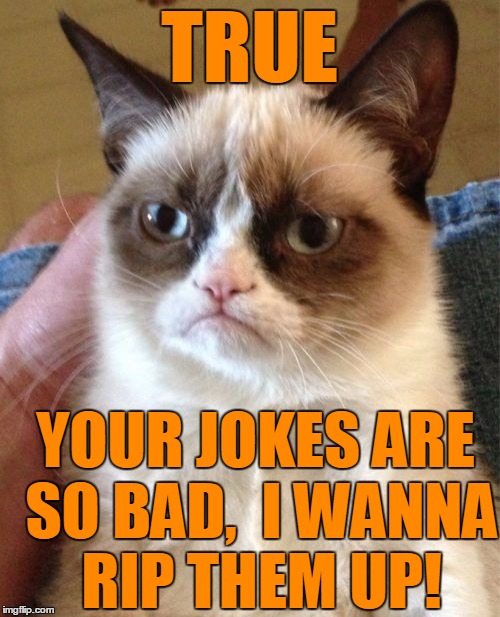 Grumpy Cat Meme | TRUE YOUR JOKES ARE SO BAD,  I WANNA RIP THEM UP! | image tagged in memes,grumpy cat | made w/ Imgflip meme maker