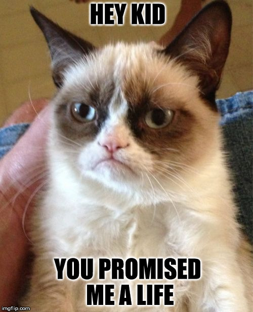 Grumpy Cat Meme | HEY KID; YOU PROMISED ME A LIFE | image tagged in memes,grumpy cat | made w/ Imgflip meme maker