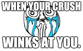 Crying Because Of Cute | WHEN YOUR CRUSH; WINKS AT YOU. | image tagged in memes,crying because of cute | made w/ Imgflip meme maker