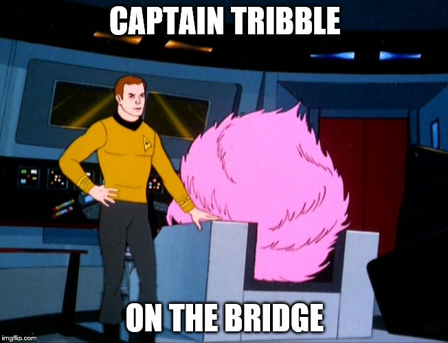 CAPTAIN TRIBBLE; ON THE BRIDGE | made w/ Imgflip meme maker