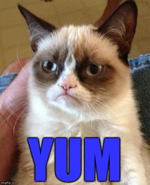 Grumpy Cat Meme | YUM | image tagged in memes,grumpy cat | made w/ Imgflip meme maker