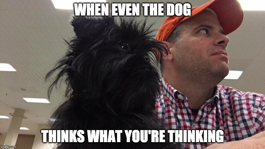 dog thinks what you're thinking |  WHEN EVEN THE DOG; THINKS WHAT YOU'RE THINKING | image tagged in dog fun | made w/ Imgflip meme maker