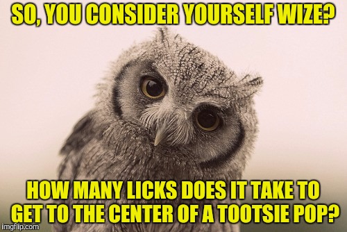 SO, YOU CONSIDER YOURSELF WIZE? HOW MANY LICKS DOES IT TAKE TO GET TO THE CENTER OF A TOOTSIE POP? | made w/ Imgflip meme maker