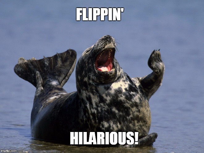 FLIPPIN' HILARIOUS! | made w/ Imgflip meme maker