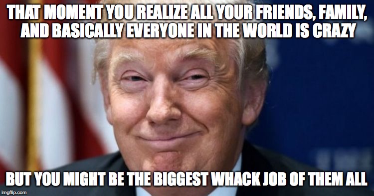 We're All A Lil' Crazy  | THAT MOMENT YOU REALIZE ALL YOUR FRIENDS, FAMILY, AND BASICALLY EVERYONE IN THE WORLD IS CRAZY; BUT YOU MIGHT BE THE BIGGEST WHACK JOB OF THEM ALL | image tagged in donald trump,trump,political meme,original meme,funny memes,dank memes | made w/ Imgflip meme maker