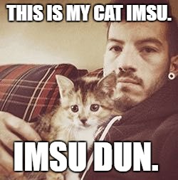 Imsu Dun | THIS IS MY CAT IMSU. IMSU DUN. | image tagged in twenty one pilots,top,kitten,josh dun | made w/ Imgflip meme maker