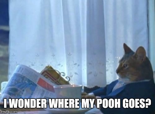 I Should Buy A Boat Cat Meme | I WONDER WHERE MY POOH GOES? | image tagged in memes,i should buy a boat cat | made w/ Imgflip meme maker