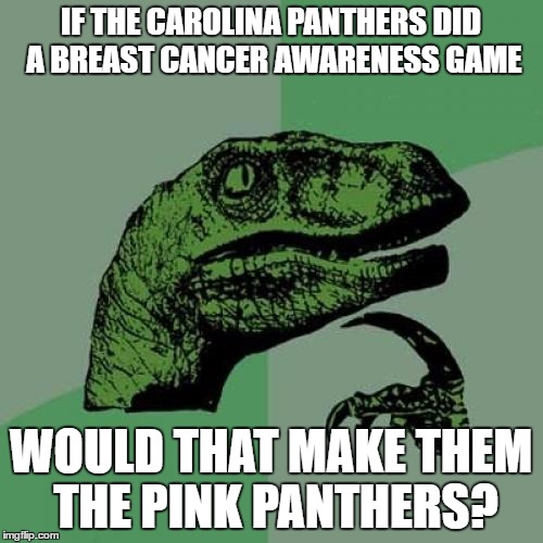 pink panthers? | IF THE CAROLINA PANTHERS DID A BREAST CANCER AWARENESS GAME; WOULD THAT MAKE THEM THE PINK PANTHERS? | image tagged in philosoraptor | made w/ Imgflip meme maker
