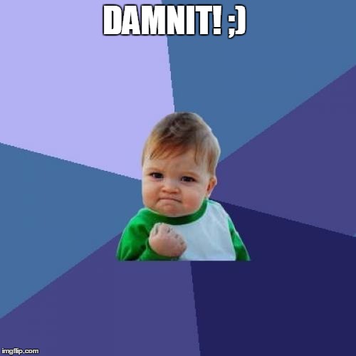 Success Kid Meme | DAMNIT! ;) | image tagged in memes,success kid | made w/ Imgflip meme maker