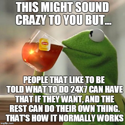 But That's None Of My Business Meme | THIS MIGHT SOUND CRAZY TO YOU BUT... PEOPLE THAT LIKE TO BE TOLD WHAT TO DO 24X7 CAN HAVE THAT IF THEY WANT, AND THE REST CAN DO THEIR OWN T | image tagged in memes,but thats none of my business,kermit the frog | made w/ Imgflip meme maker