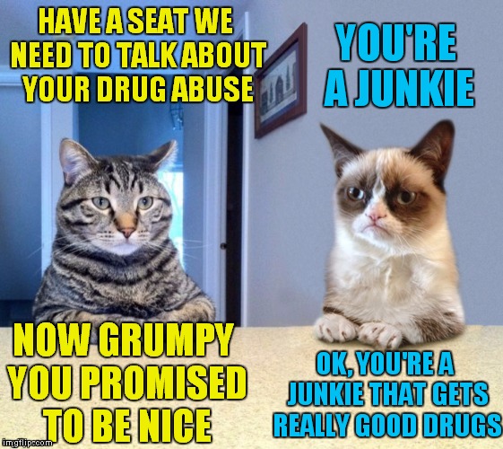 Don't invite Grumpy Cat to an intervention.... | YOU'RE A JUNKIE; HAVE A SEAT WE NEED TO TALK ABOUT YOUR DRUG ABUSE; NOW GRUMPY YOU PROMISED TO BE NICE; OK, YOU'RE A JUNKIE THAT GETS REALLY GOOD DRUGS | image tagged in take a seat cat and grumpy cat review | made w/ Imgflip meme maker