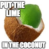 Blended | PUT THE LIME; IN THE COCONUT | image tagged in lime,coconut,chillin | made w/ Imgflip meme maker