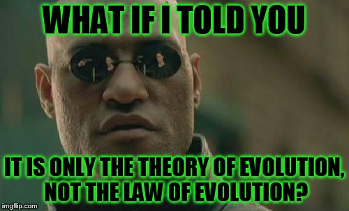 Matrix Morpheus Meme | WHAT IF I TOLD YOU IT IS ONLY THE THEORY OF EVOLUTION, NOT THE LAW OF EVOLUTION? | image tagged in memes,matrix morpheus | made w/ Imgflip meme maker