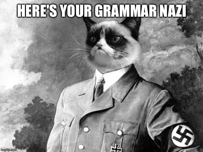 HERE'S YOUR GRAMMAR NAZI | made w/ Imgflip meme maker
