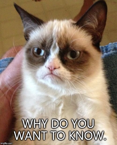 Grumpy Cat Meme | WHY DO YOU WANT TO KNOW. | image tagged in memes,grumpy cat | made w/ Imgflip meme maker