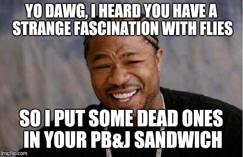 Yo Dawg Heard You Meme | YO DAWG, I HEARD YOU HAVE A STRANGE FASCINATION WITH FLIES; SO I PUT SOME DEAD ONES IN YOUR PB&J SANDWICH | image tagged in memes,yo dawg heard you | made w/ Imgflip meme maker