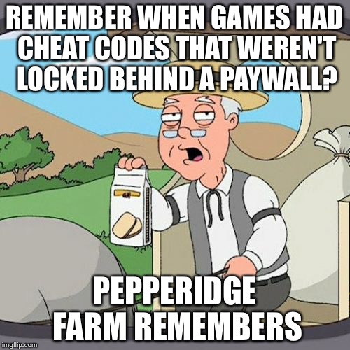 Pepperidge Farm Remembers |  REMEMBER WHEN GAMES HAD CHEAT CODES THAT WEREN'T LOCKED BEHIND A PAYWALL? PEPPERIDGE FARM REMEMBERS | image tagged in memes,pepperidge farm remembers | made w/ Imgflip meme maker
