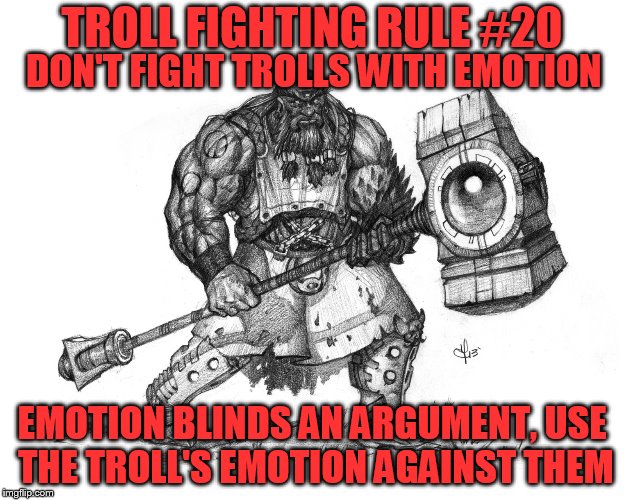 Troll Fighting Rule #20 | TROLL FIGHTING RULE #20; DON'T FIGHT TROLLS WITH EMOTION; EMOTION BLINDS AN ARGUMENT, USE THE TROLL'S EMOTION AGAINST THEM | image tagged in troll smasher | made w/ Imgflip meme maker