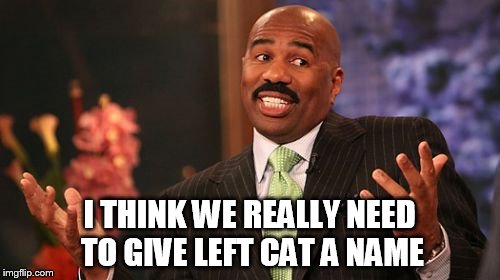 Steve Harvey Meme | I THINK WE REALLY NEED TO GIVE LEFT CAT A NAME | image tagged in memes,steve harvey | made w/ Imgflip meme maker