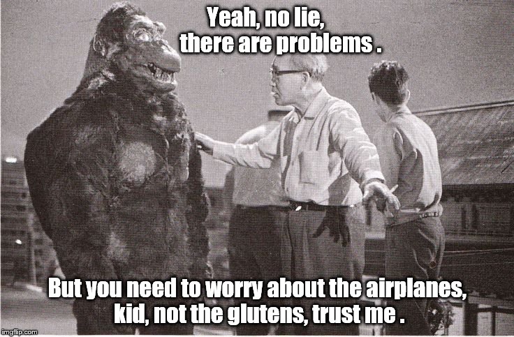 Kong with Director | Yeah, no lie,               there are problems . But you need to worry about the airplanes, kid, not the glutens, trust me . | image tagged in kong with director | made w/ Imgflip meme maker