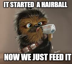 IT STARTED  A HAIRBALL NOW WE JUST FEED IT | made w/ Imgflip meme maker
