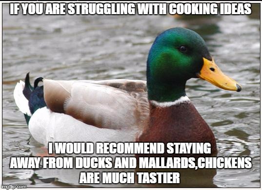 Actual Advice Mallard | IF YOU ARE STRUGGLING WITH COOKING IDEAS; I WOULD RECOMMEND STAYING AWAY FROM DUCKS AND MALLARDS,CHICKENS ARE MUCH TASTIER | image tagged in memes,actual advice mallard | made w/ Imgflip meme maker