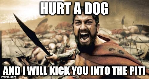 Sparta Leonidas Meme | HURT A DOG AND I WILL KICK YOU INTO THE PIT! | image tagged in memes,sparta leonidas | made w/ Imgflip meme maker